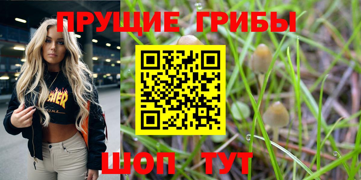 Псилоцибиновые грибы мицелий Родники